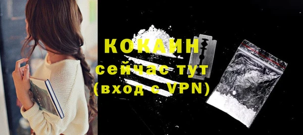spice Надым