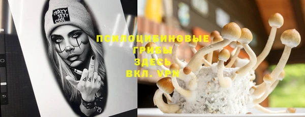 ешки Туринск