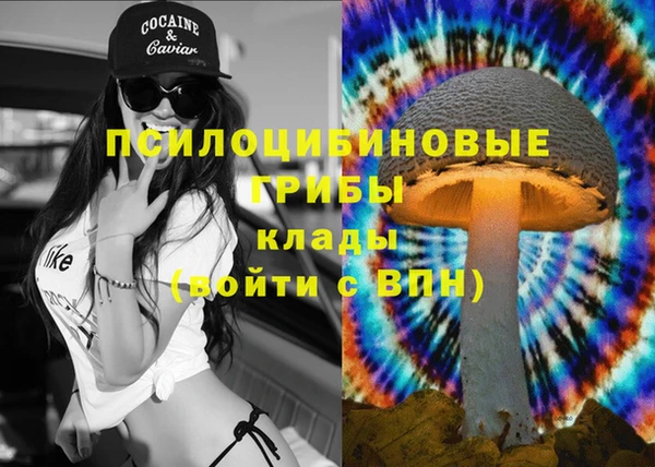 тгк Горнозаводск
