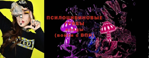 тгк Горнозаводск