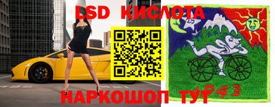 ALPHA PVP Аргун