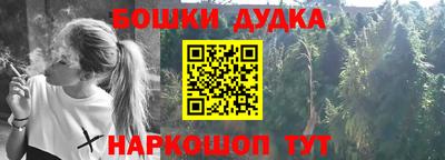 прущие грибы Апшеронск