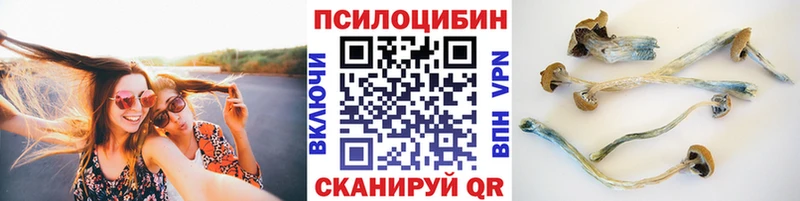 Псилоцибиновые грибы Cubensis  купить наркотики сайты  Нерюнгри 