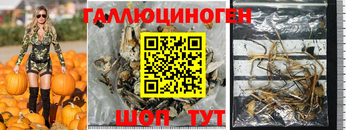 Нерюнгри  Галлюциногенные грибы MAGIC MUSHROOMS  наркошоп  Вход с VPN 