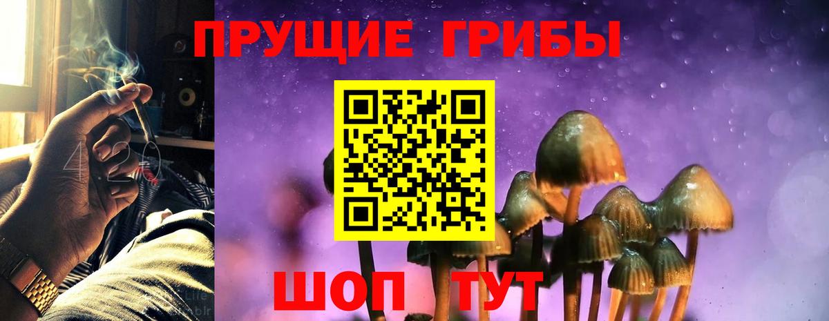 Псилоцибиновые грибы мухоморы Нерюнгри