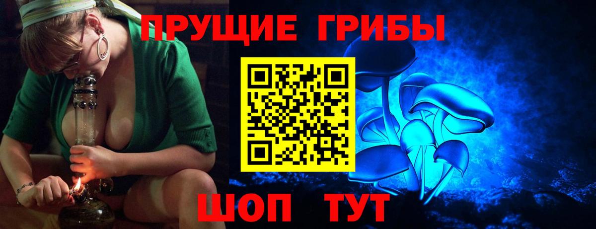 Галлюциногенные грибы Psilocybine cubensis Нерюнгри
